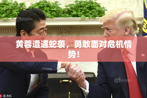 黄蓉遭遇蛇袭，勇敢面对危机情势！