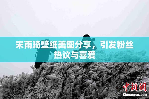 宋雨琦壁纸美图分享，引发粉丝热议与喜爱