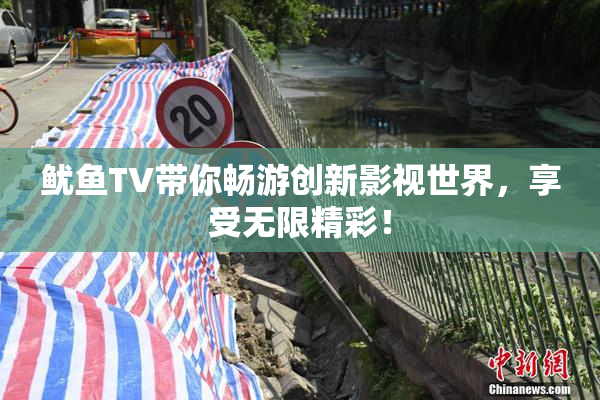 鱿鱼TV带你畅游创新影视世界，享受无限精彩！