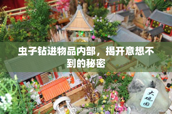 虫子钻进物品内部，揭开意想不到的秘密