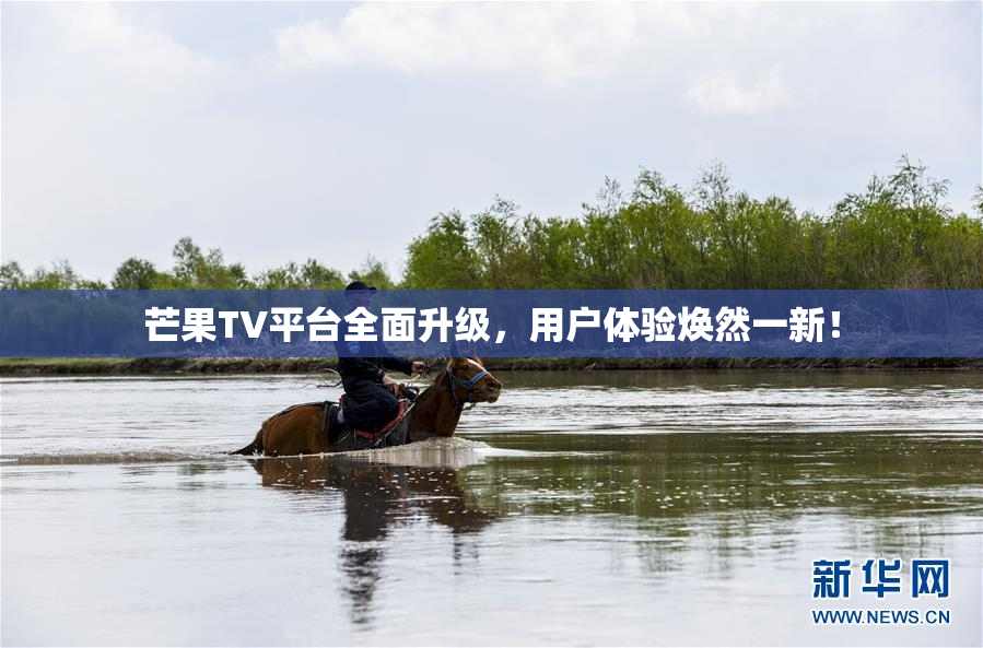 芒果TV平台全面升级，用户体验焕然一新！