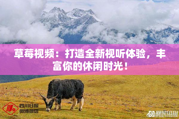 草莓视频：打造全新视听体验，丰富你的休闲时光！