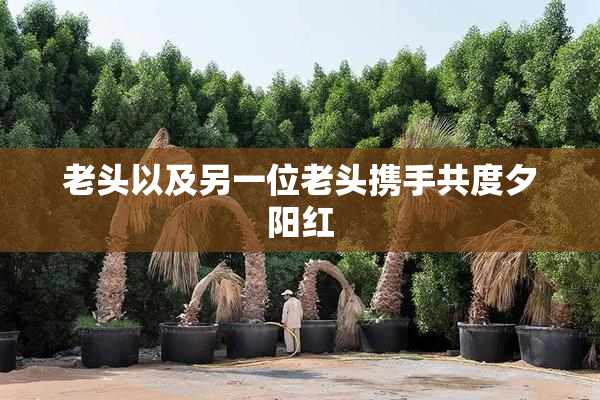 老头以及另一位老头携手共度夕阳红