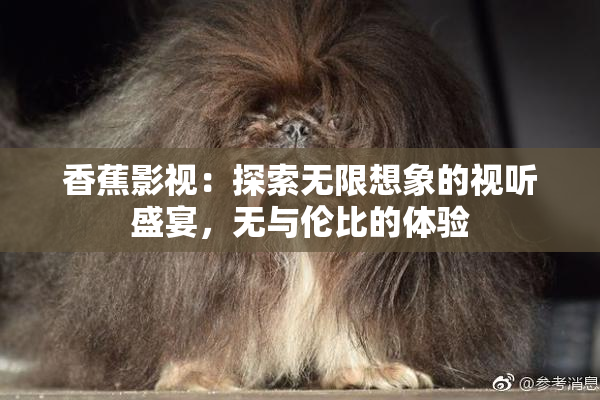 香蕉影视：探索无限想象的视听盛宴，无与伦比的体验