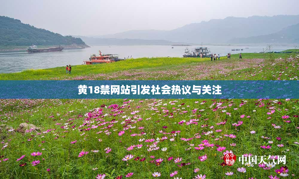 黄18禁网站引发社会热议与关注