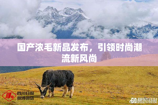 国产浓毛新品发布，引领时尚潮流新风尚