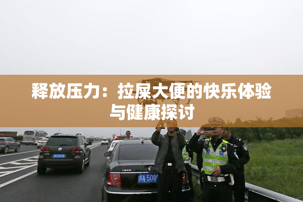 释放压力：拉屎大便的快乐体验与健康探讨