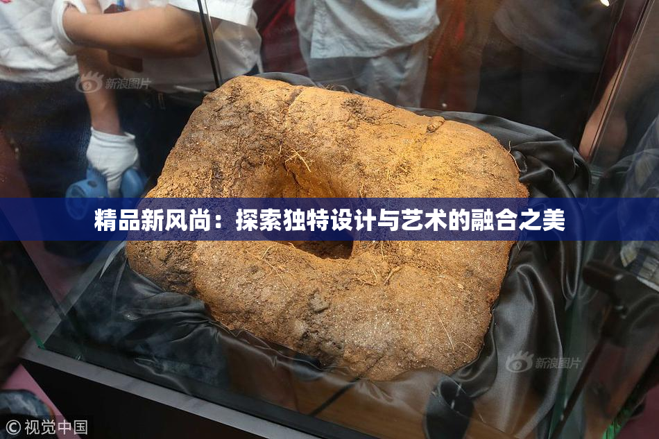 精品新风尚：探索独特设计与艺术的融合之美