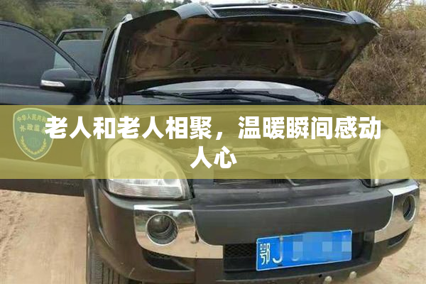 老人和老人相聚，温暖瞬间感动人心