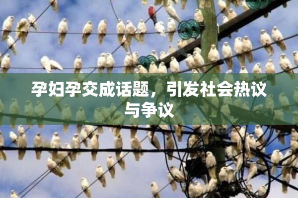 孕妇孕交成话题，引发社会热议与争议