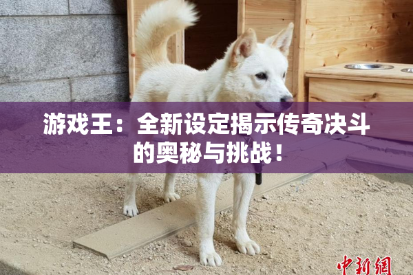 游戏王：全新设定揭示传奇决斗的奥秘与挑战！