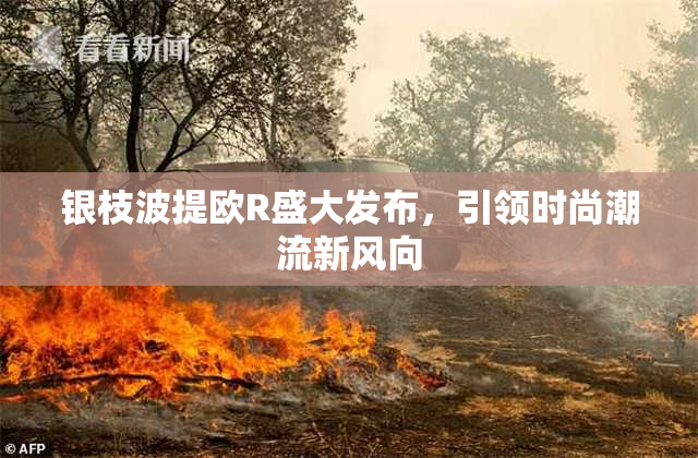 银枝波提欧R盛大发布，引领时尚潮流新风向