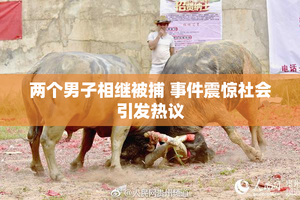 两个男子相继被捕 事件震惊社会引发热议
