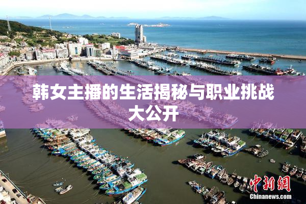 韩女主播的生活揭秘与职业挑战大公开