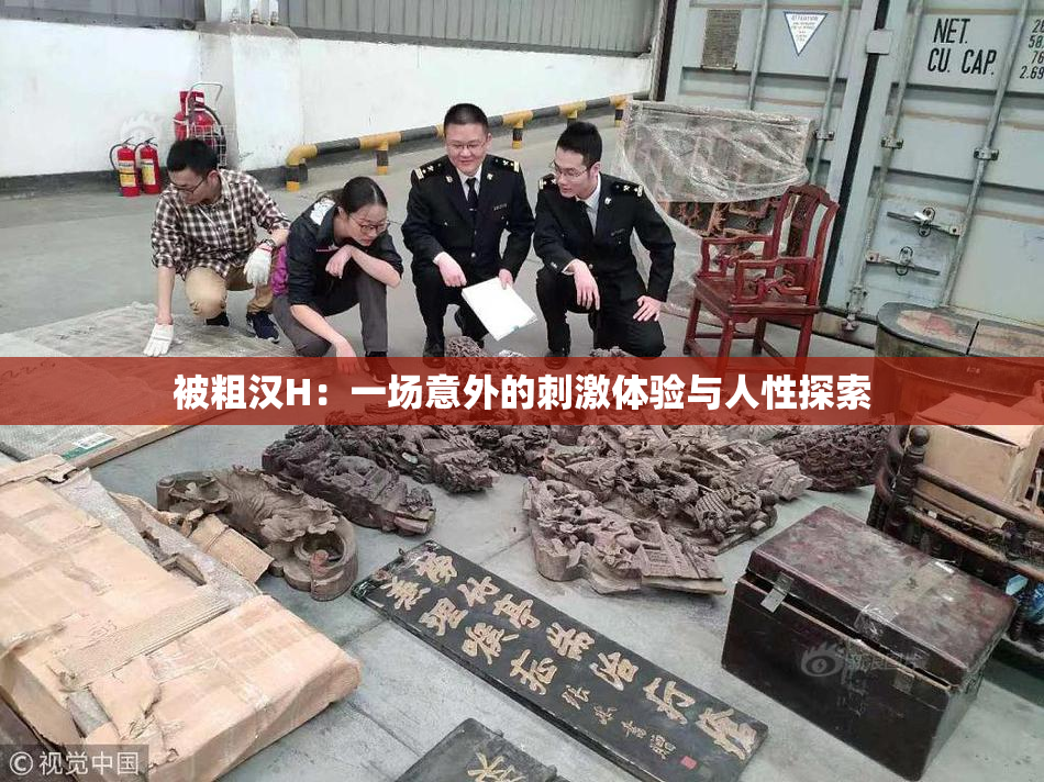 被粗汉H：一场意外的刺激体验与人性探索