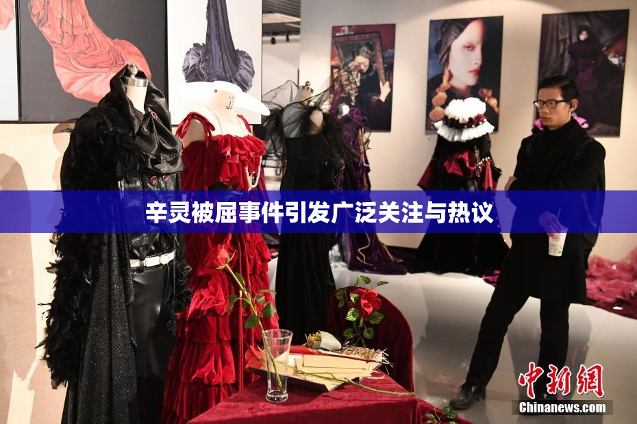 辛灵被屈事件引发广泛关注与热议