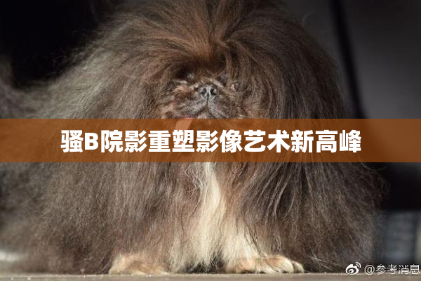 骚B院影重塑影像艺术新高峰
