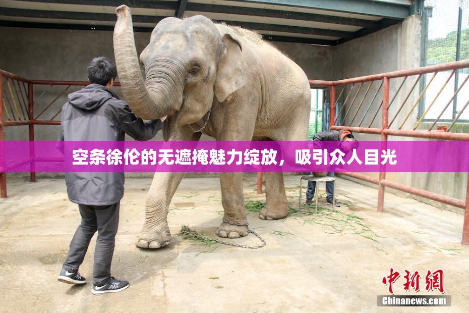 空条徐伦的无遮掩魅力绽放，吸引众人目光