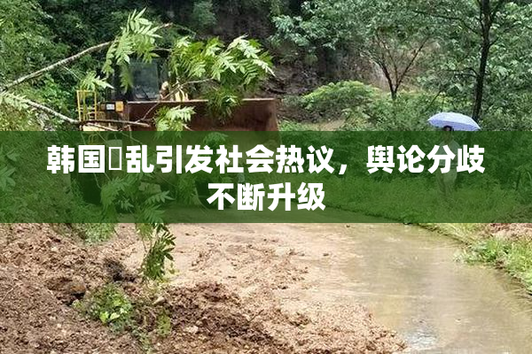 韩国婬乱引发社会热议，舆论分歧不断升级
