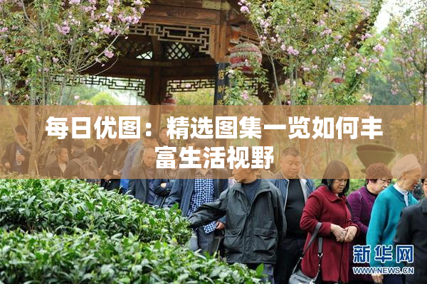 每日优图：精选图集一览如何丰富生活视野