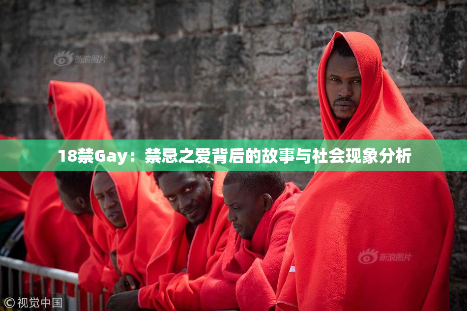 18禁Gay：禁忌之爱背后的故事与社会现象分析