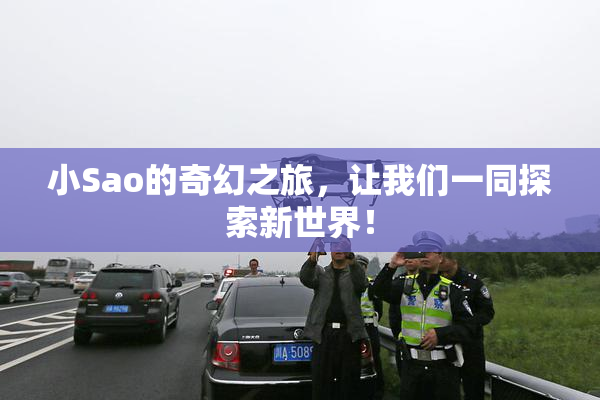 小Sao的奇幻之旅，让我们一同探索新世界！