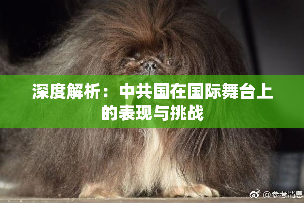 深度解析：中共国在国际舞台上的表现与挑战