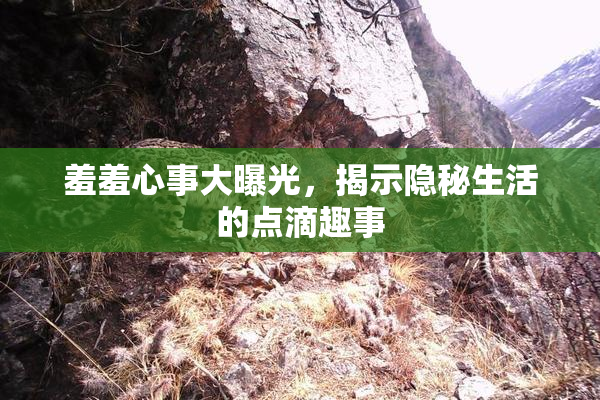 羞羞心事大曝光，揭示隐秘生活的点滴趣事