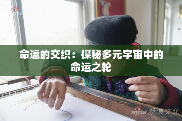 命运的交织：探秘多元宇宙中的命运之轮