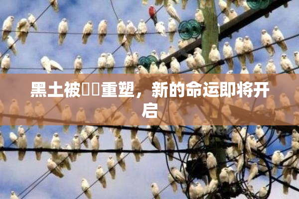黑土被❌‌重塑，新的命运即将开启