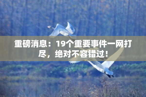 重磅消息：19个重要事件一网打尽，绝对不容错过！