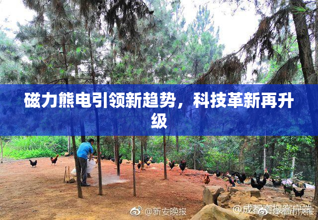 磁力熊电引领新趋势，科技革新再升级