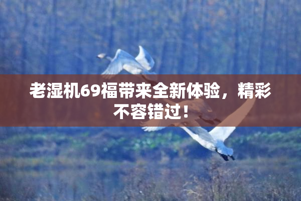 老湿机69福带来全新体验，精彩不容错过！