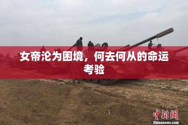 女帝沦为困境，何去何从的命运考验