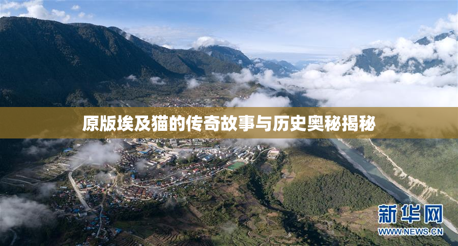 原版埃及猫的传奇故事与历史奥秘揭秘