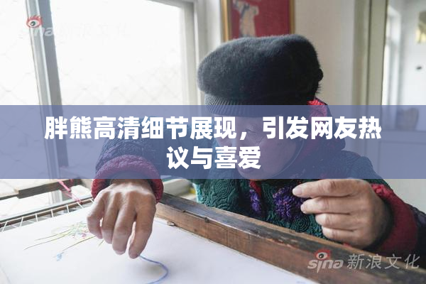 胖熊高清细节展现，引发网友热议与喜爱