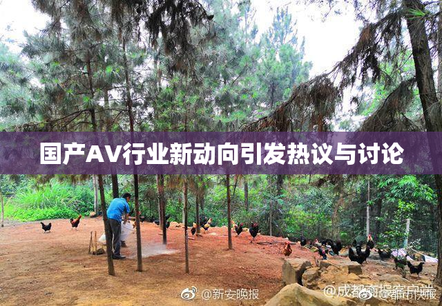 国产AV行业新动向引发热议与讨论