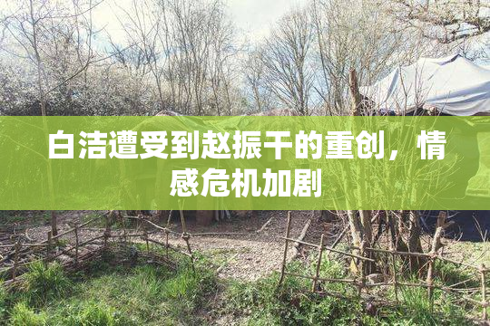 白洁遭受到赵振干的重创，情感危机加剧