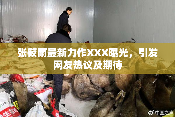 张筱雨最新力作XXX曝光，引发网友热议及期待