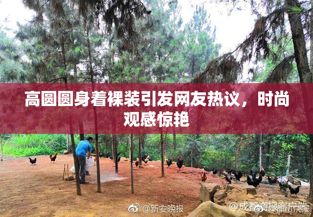 高圆圆身着裸装引发网友热议，时尚观感惊艳
