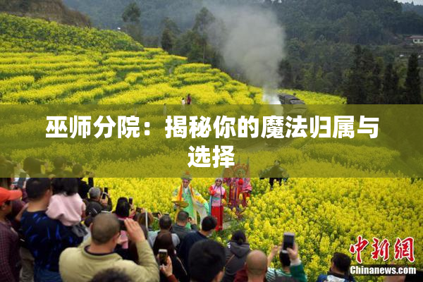 巫师分院：揭秘你的魔法归属与选择