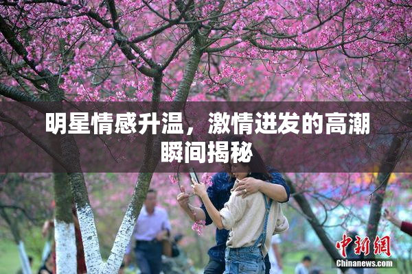 明星情感升温，激情迸发的高潮瞬间揭秘