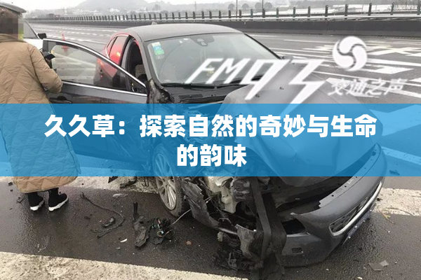 久久草：探索自然的奇妙与生命的韵味