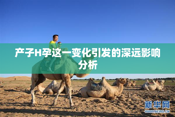 产子H孕这一变化引发的深远影响分析