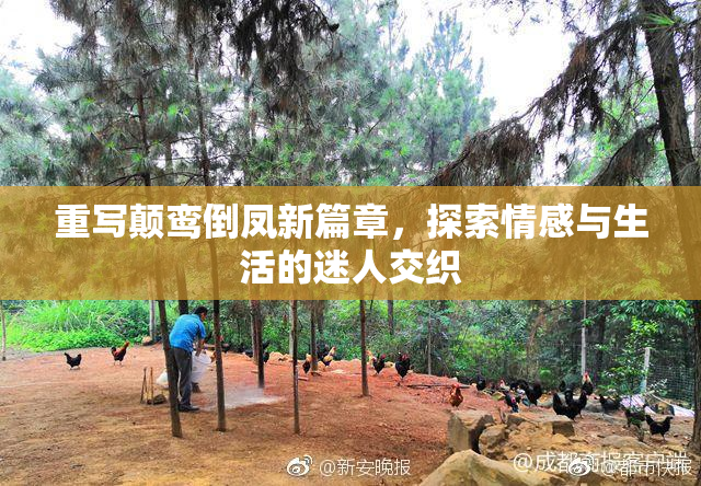 重写颠鸾倒凤新篇章，探索情感与生活的迷人交织