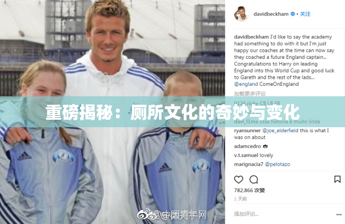 重磅揭秘：厕所文化的奇妙与变化