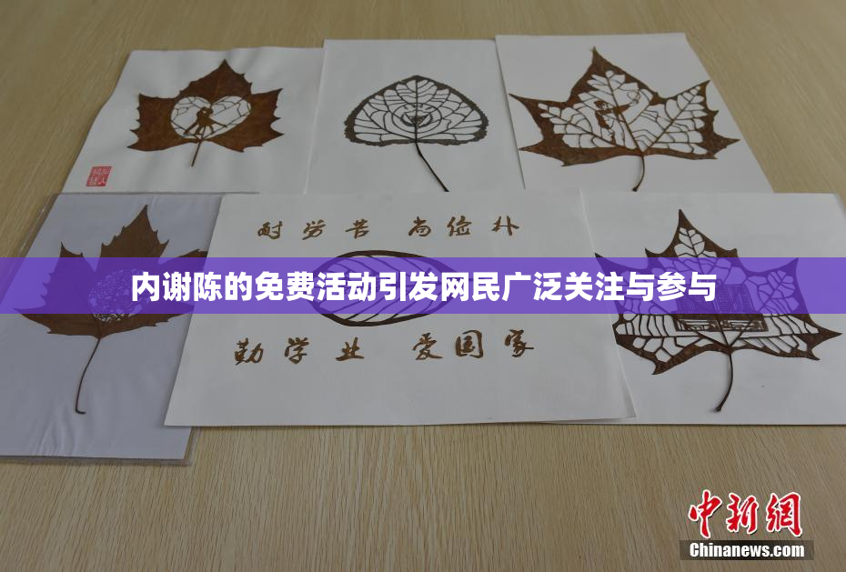 内谢陈的免费活动引发网民广泛关注与参与