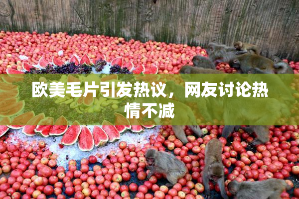 欧美毛片引发热议，网友讨论热情不减