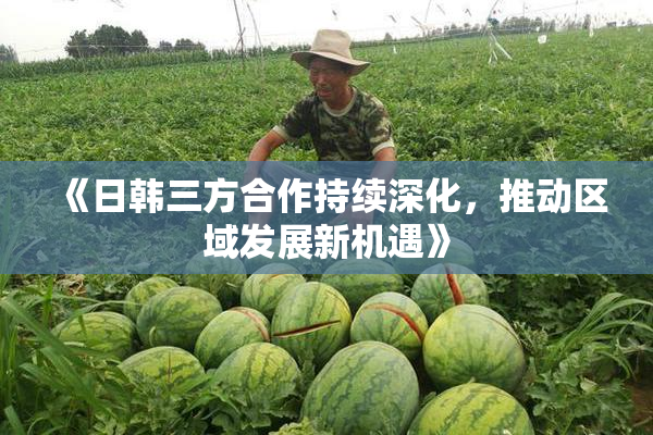 《日韩三方合作持续深化，推动区域发展新机遇》