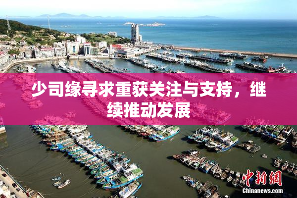 少司缘寻求重获关注与支持，继续推动发展